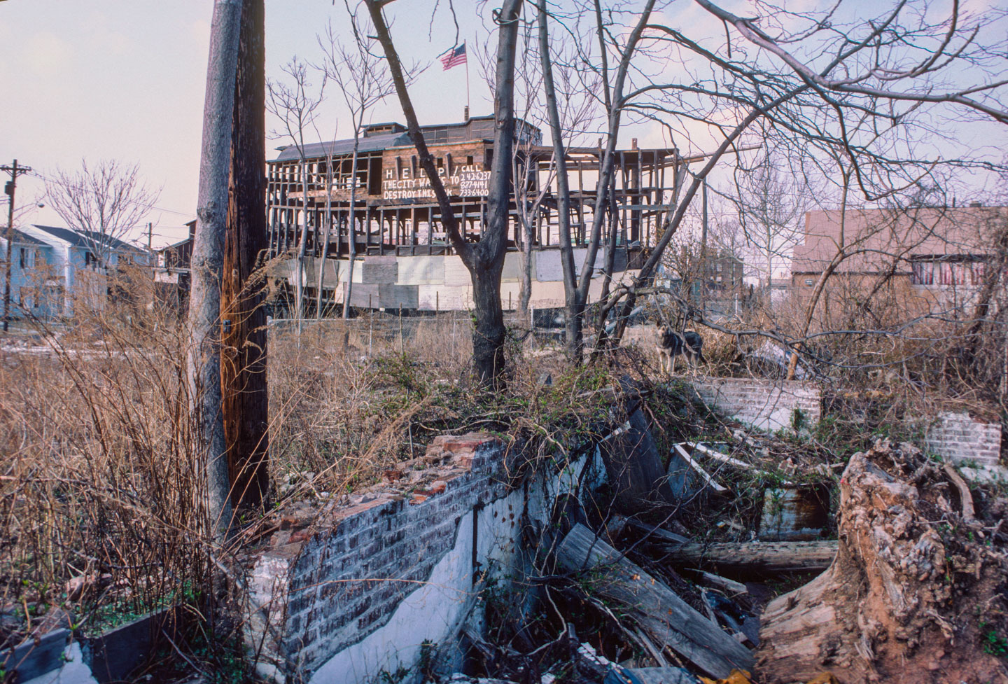 34-Ark, Bergen Street at 14th Ave., Newark, 1987_